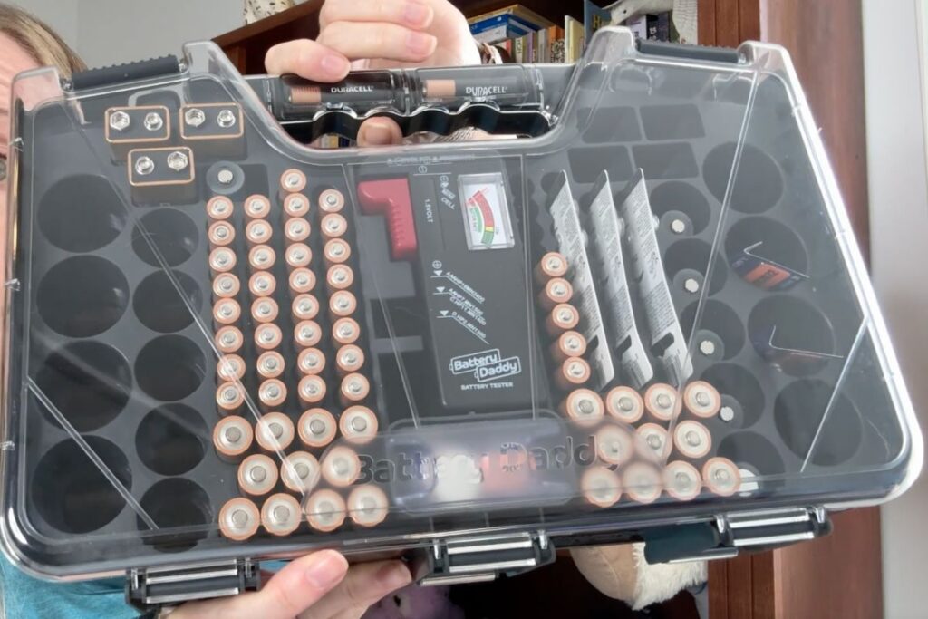Batteries in a Battery Daddy storage case.