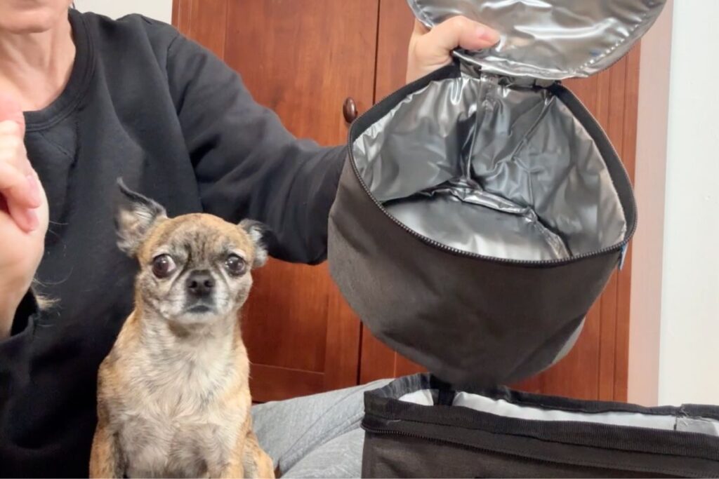 Travel dog food bowl next to the Little Bits