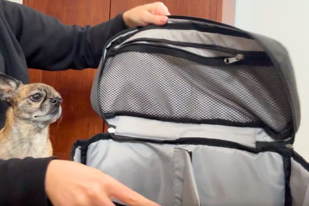 Holding The Original Doggy Bag from Rubyloo open