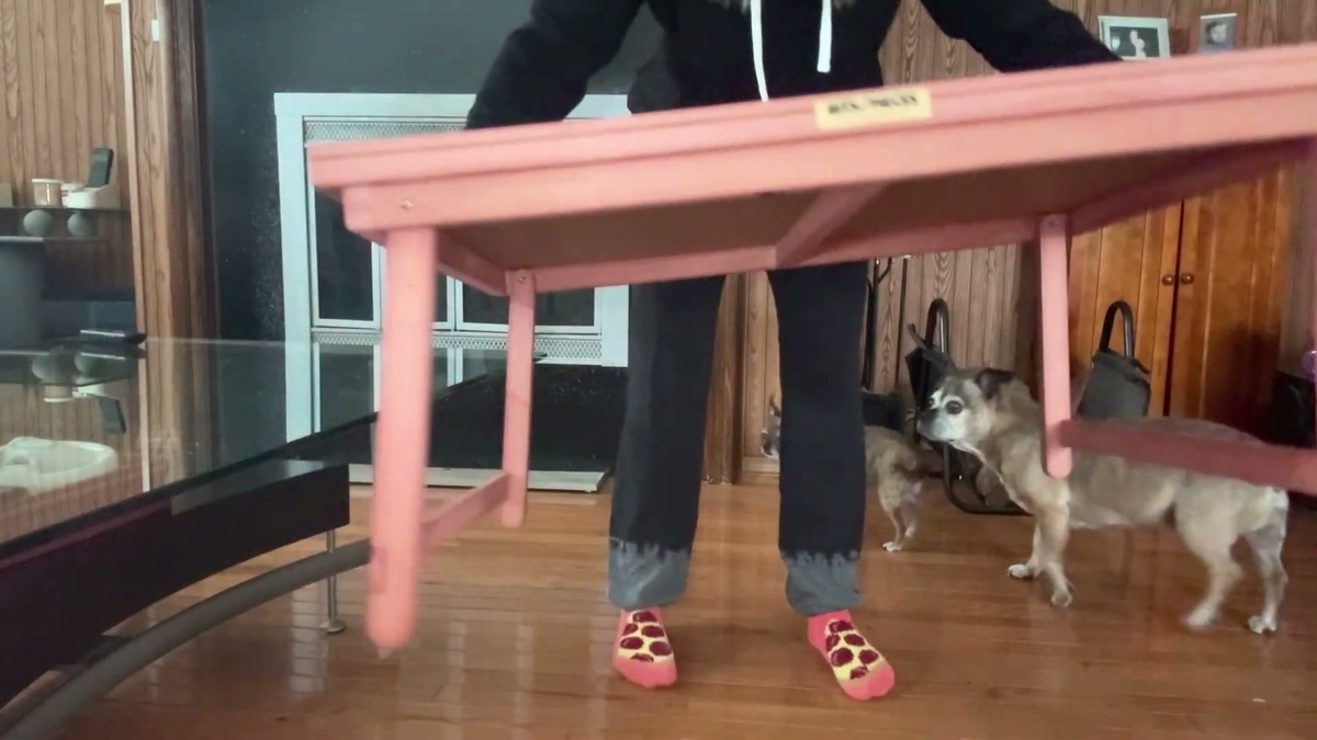 Bits and Pieces puzzle lounger standing on its fold-out legs next to a glass coffee table, with a small dog looking on
