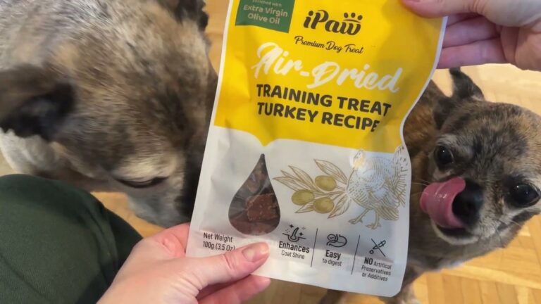 iPaw Air-Dried Training Treat Turkey Recipe bag held up between two senior Chihuahua mix dogs, one licking its lips