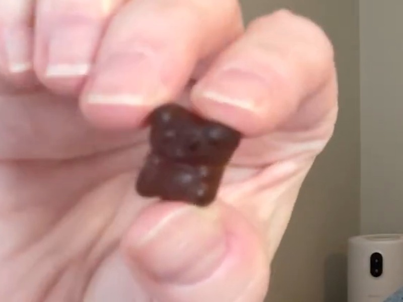 A single short, stocky dark purple TrueSeaMoss elderberry gummy bear held between fingertips.