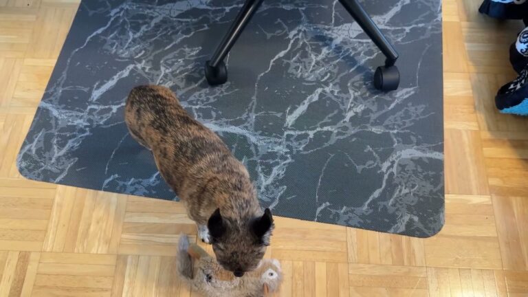 Vaukki black marble chair mat on a parquet hardwood floor with an office chair rolled onto it and a brindle dog standing on the mat with a stuffed toy